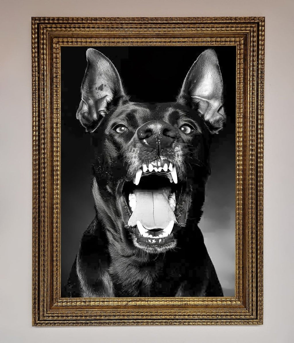Angry Doberman Dog Framed Wall Art