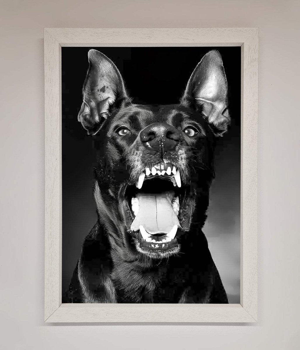 Angry Doberman Dog Framed Wall Art