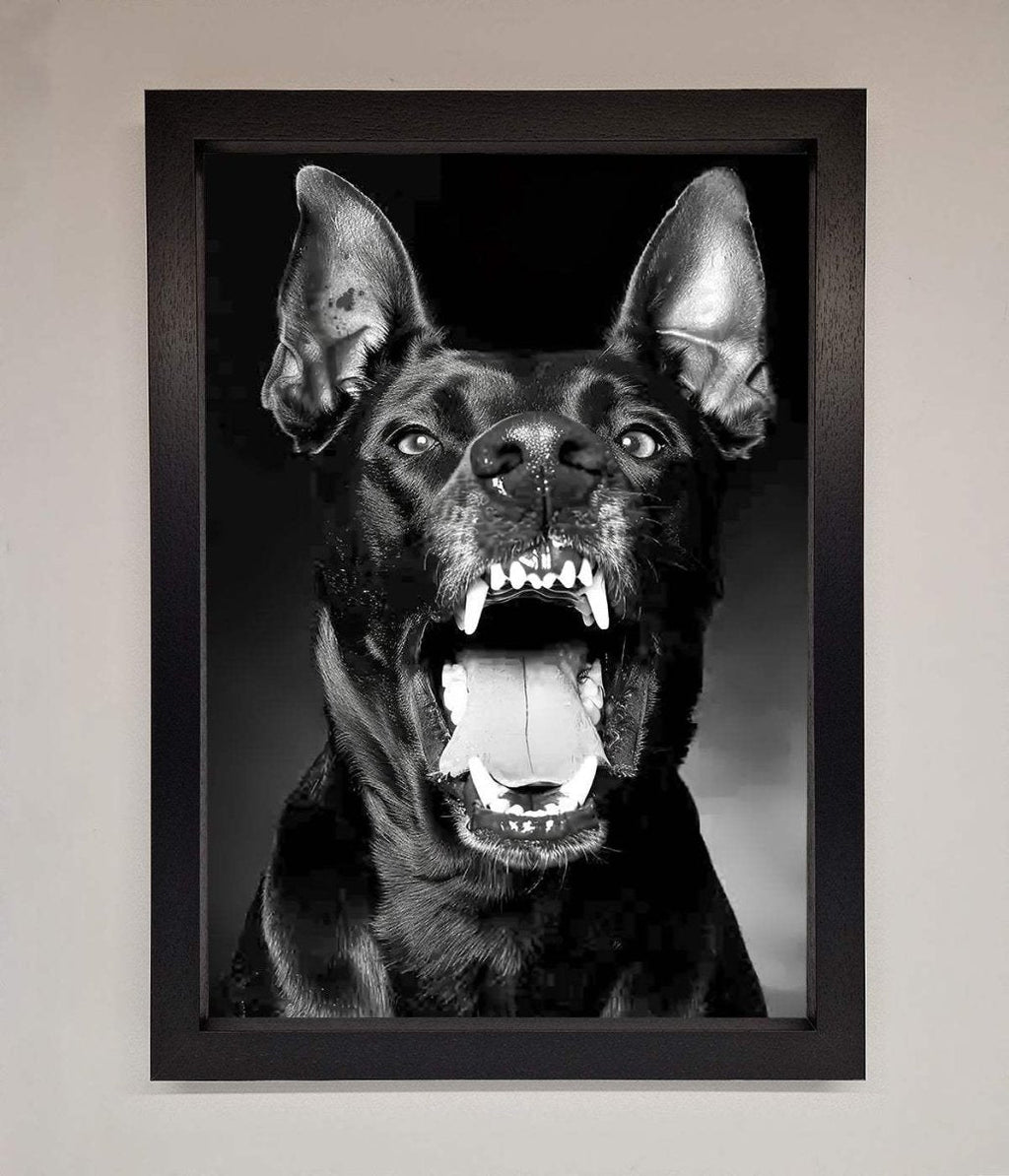 Angry Doberman Dog Framed Wall Art