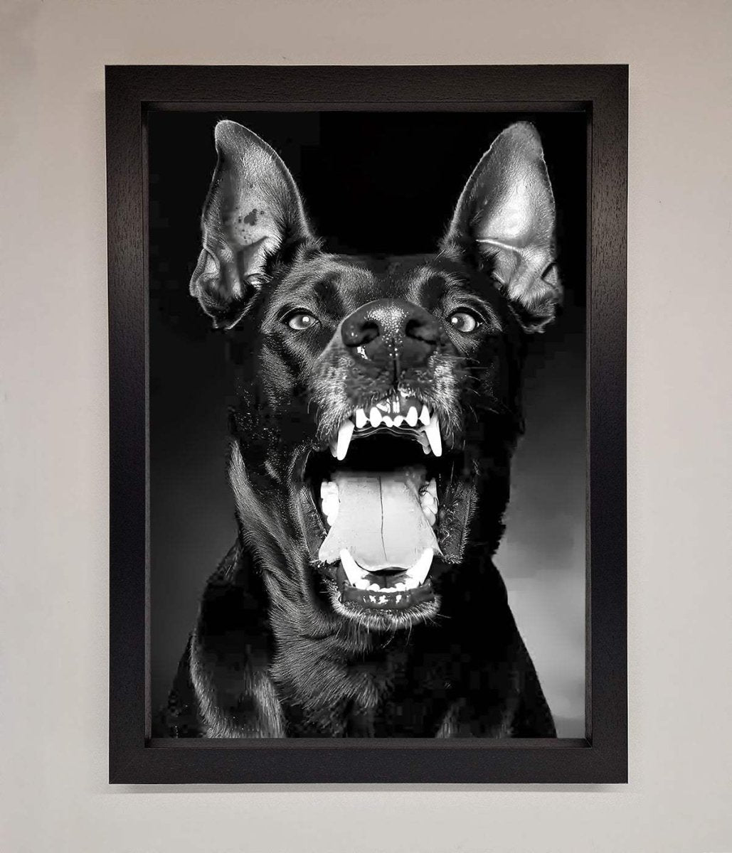 Angry Doberman Dog Framed Wall Art