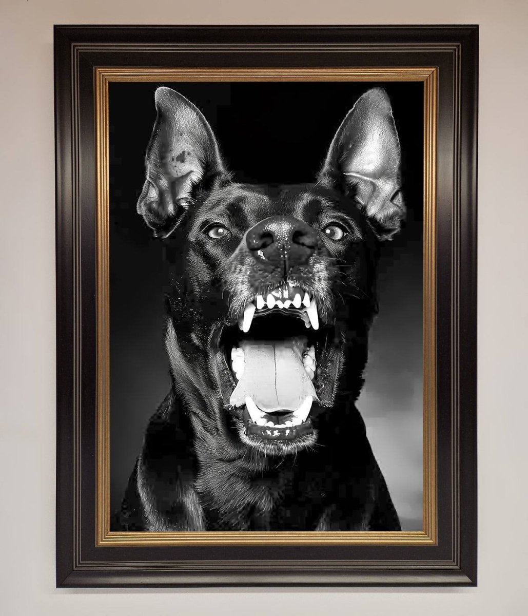 Angry Doberman Dog Framed Wall Art