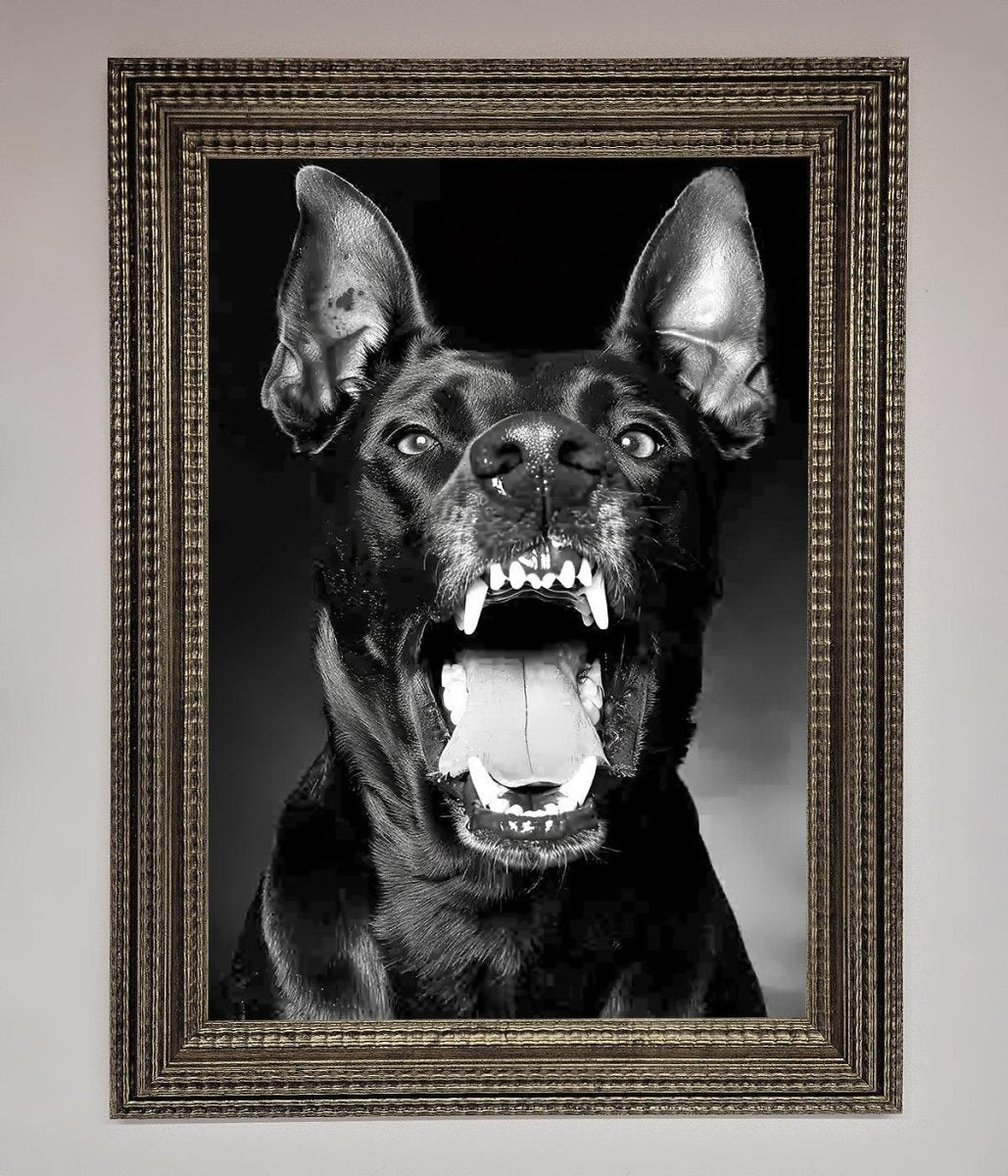 Angry Doberman Dog Framed Wall Art