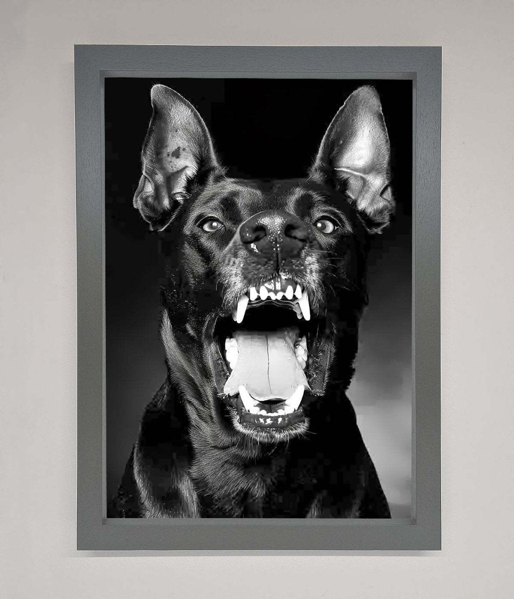 Angry Doberman Dog Framed Wall Art