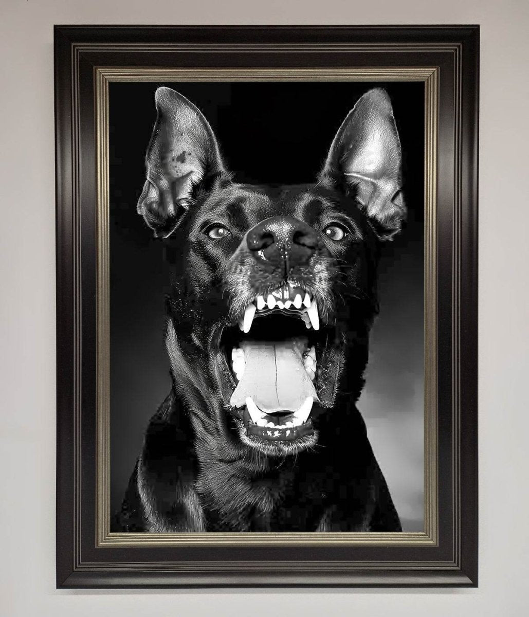 Angry Doberman Dog Framed Wall Art