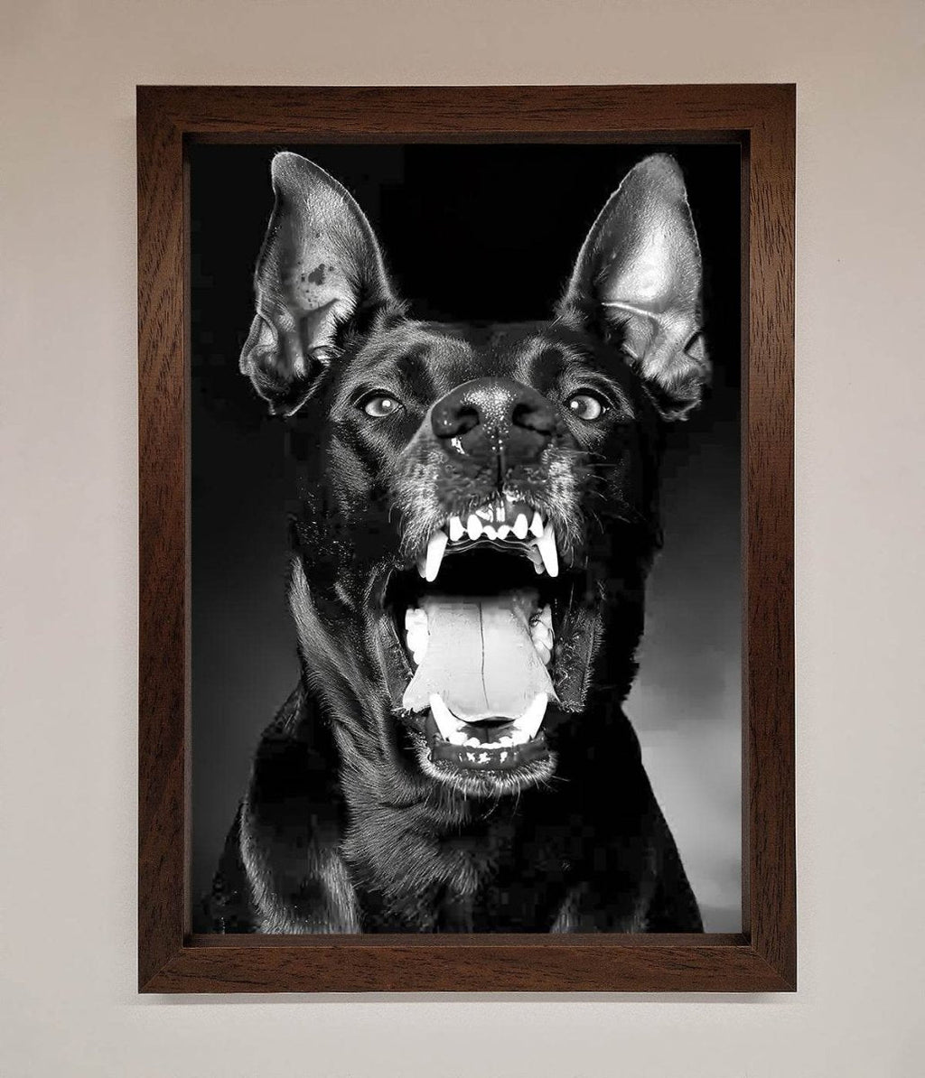 Angry Doberman Dog Framed Wall Art