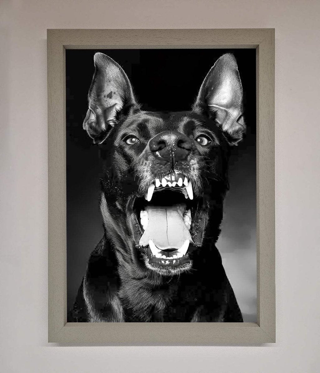 Angry Doberman Dog Framed Wall Art