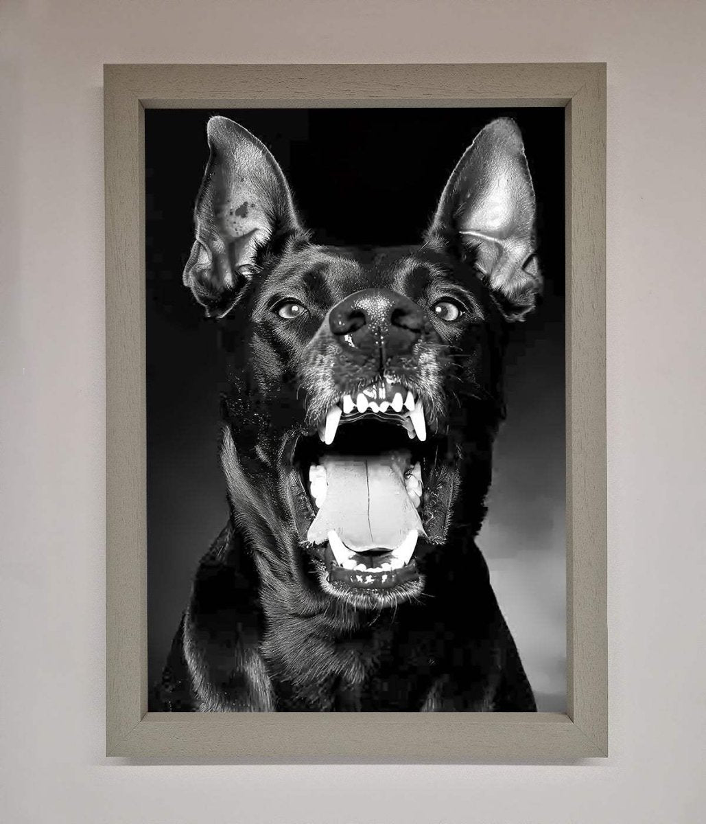 Angry Doberman Dog Framed Wall Art