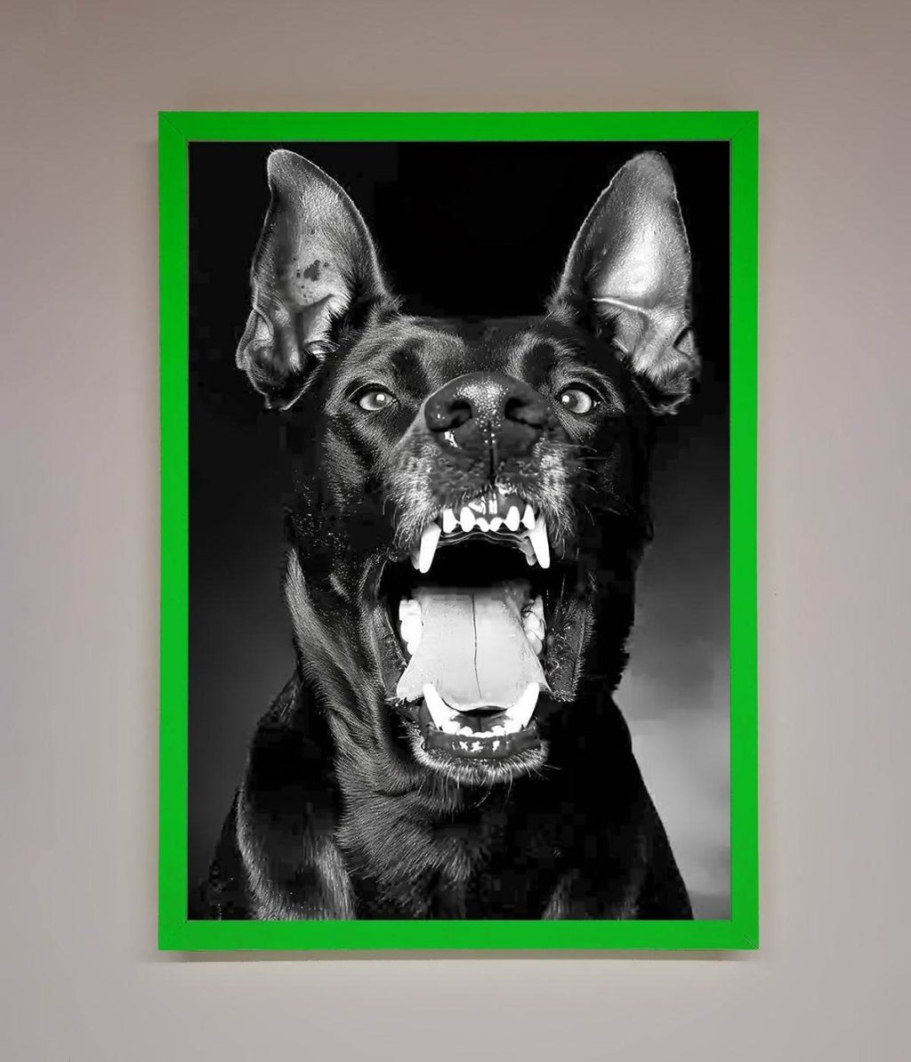 Angry Doberman Dog Framed Wall Art