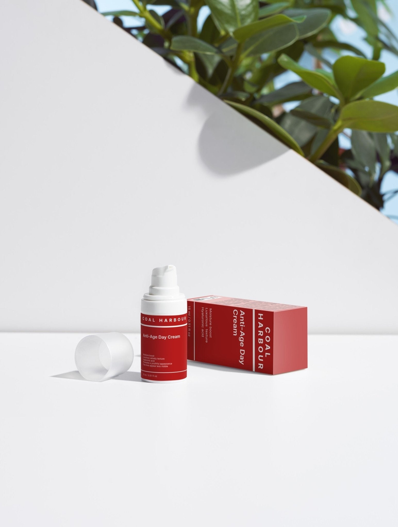Summer Bestsellers Collection Box
