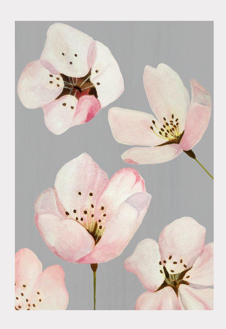 Cherry Blossoms on Grey Art Print