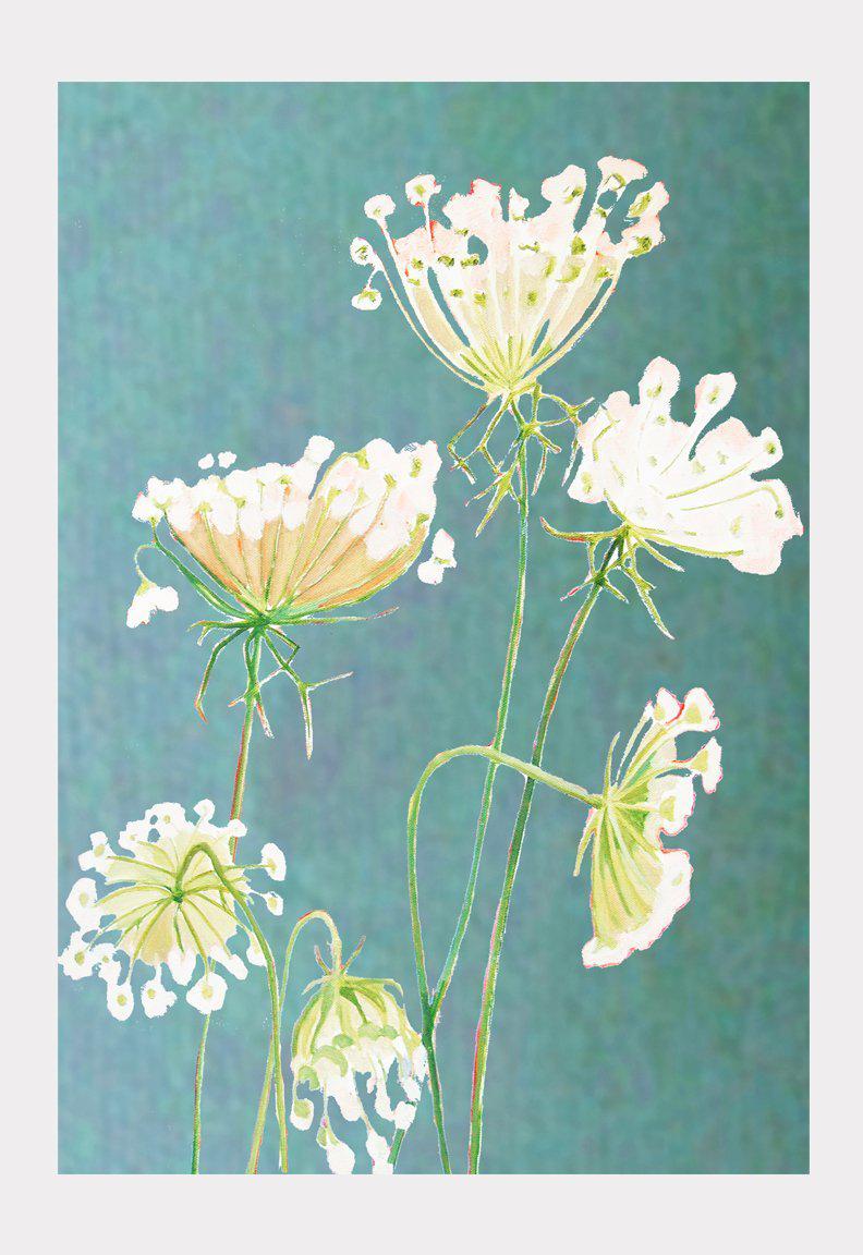 Queen Anne's Lace on Teal Art Print