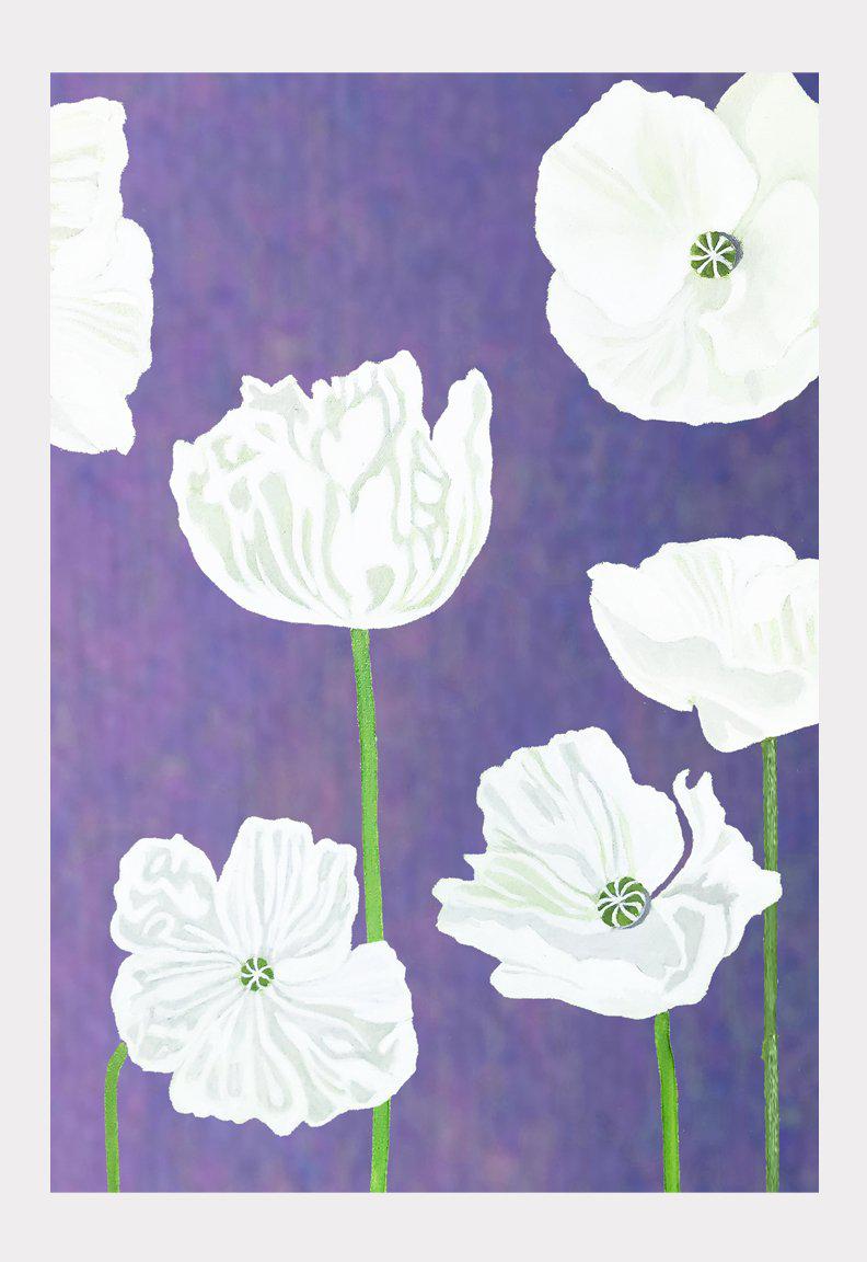 White Poppies on Violet Art Print