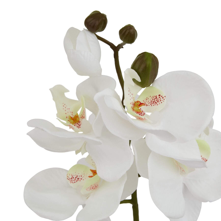 White artificial orchid stem with lifelike petals, 52cm tall, perfect for home decor by Sostter at brixbailey.com