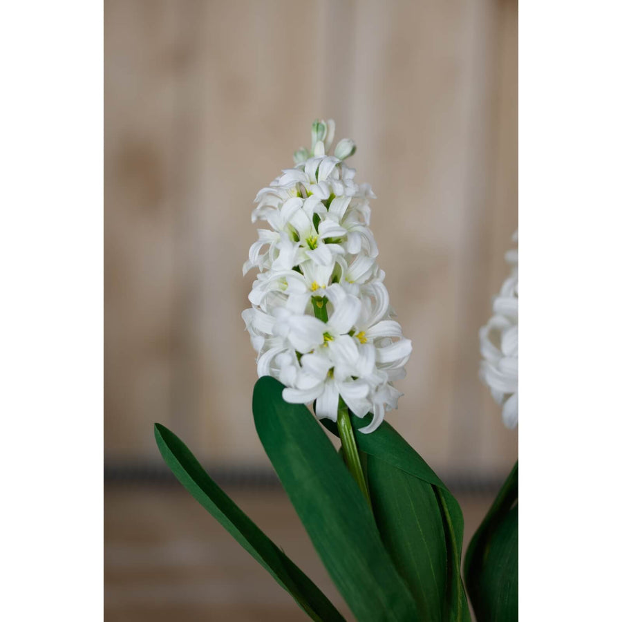 White hyacinth faux stems with green leaves, 44 cm tall, lifelike plastic flowers for home decor by Sostter at brixbailey.com