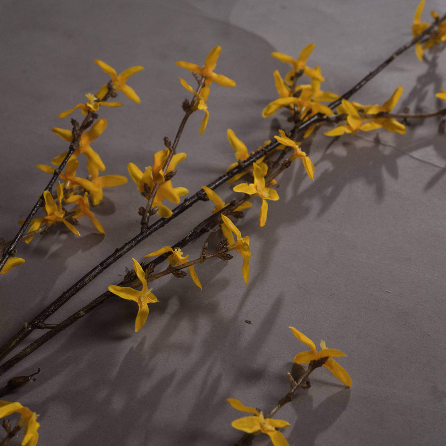 Lifelike artificial Forsythia branch with vibrant yellow petals, naturalistic stems, and realistic plastic construction. by Sostter at brixbailey.com