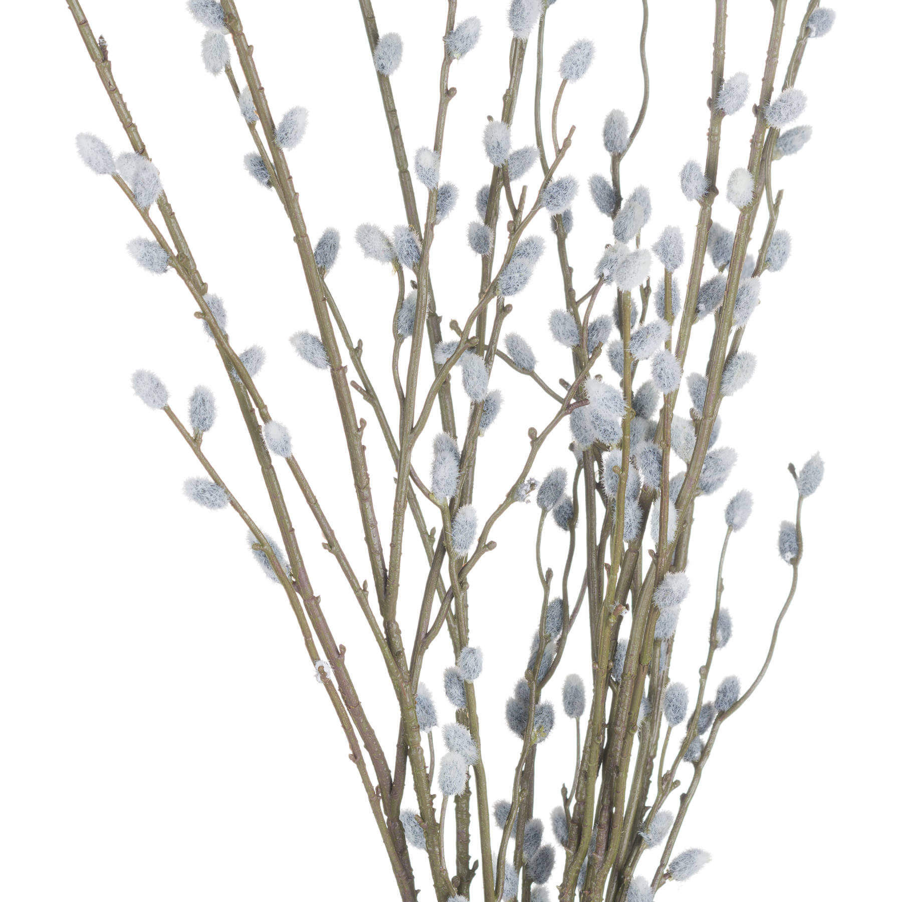 Lifelike grey pussy willow branch, 40.5 tall with realistic catkins, perfect for modern or farmhouse decor. by Sostter at brixbailey.com