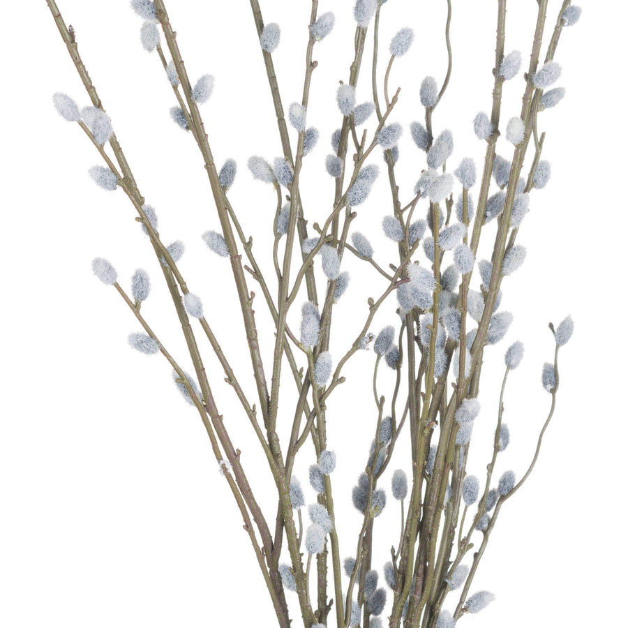 Lifelike grey pussy willow branch, 40.5 tall with realistic catkins, perfect for modern or farmhouse decor. by Sostter at brixbailey.com