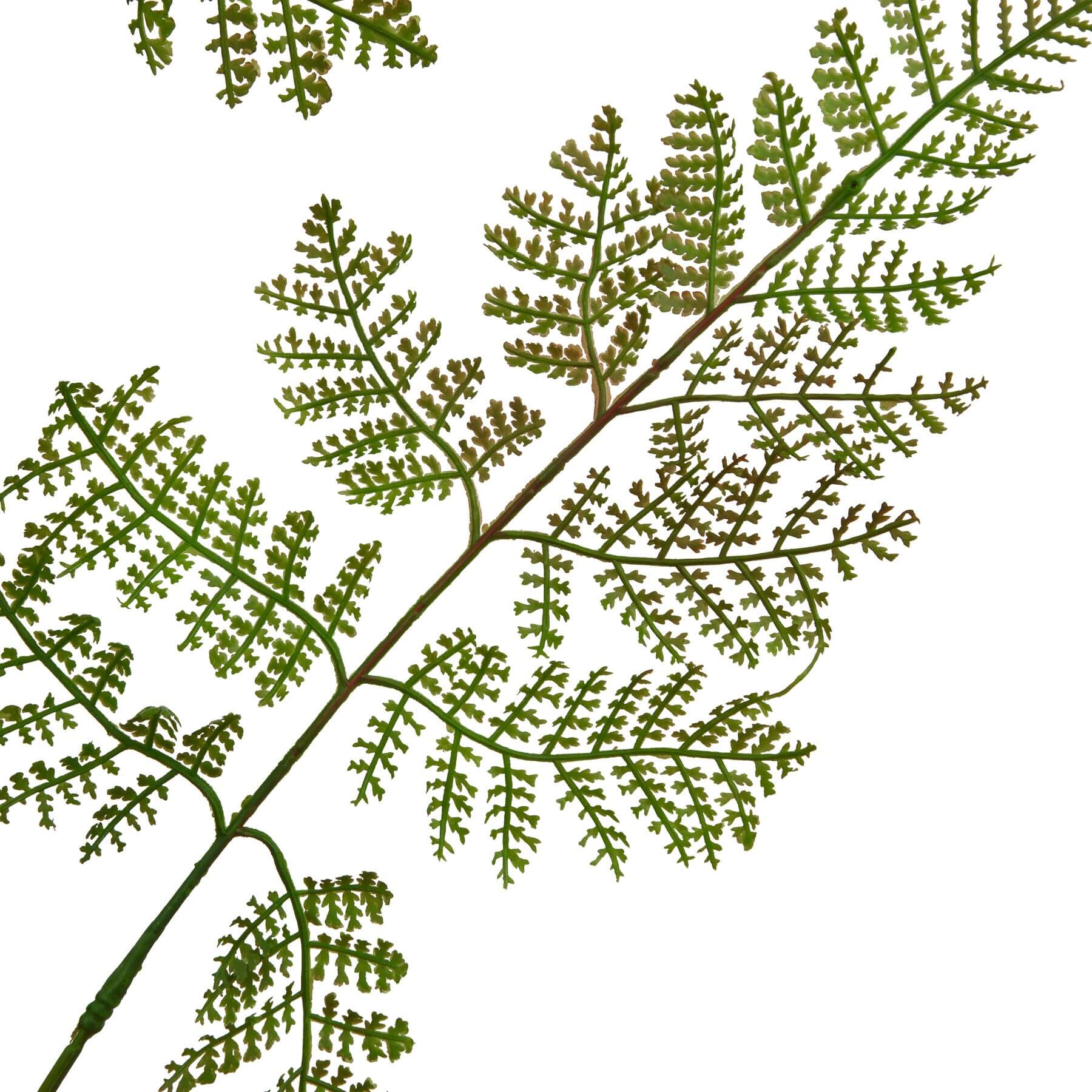 Lifelike large bracken fern spray with rich green tones, realistic plastic fronds for zero-maintenance home decor by RoomLondon at brixbailey.com