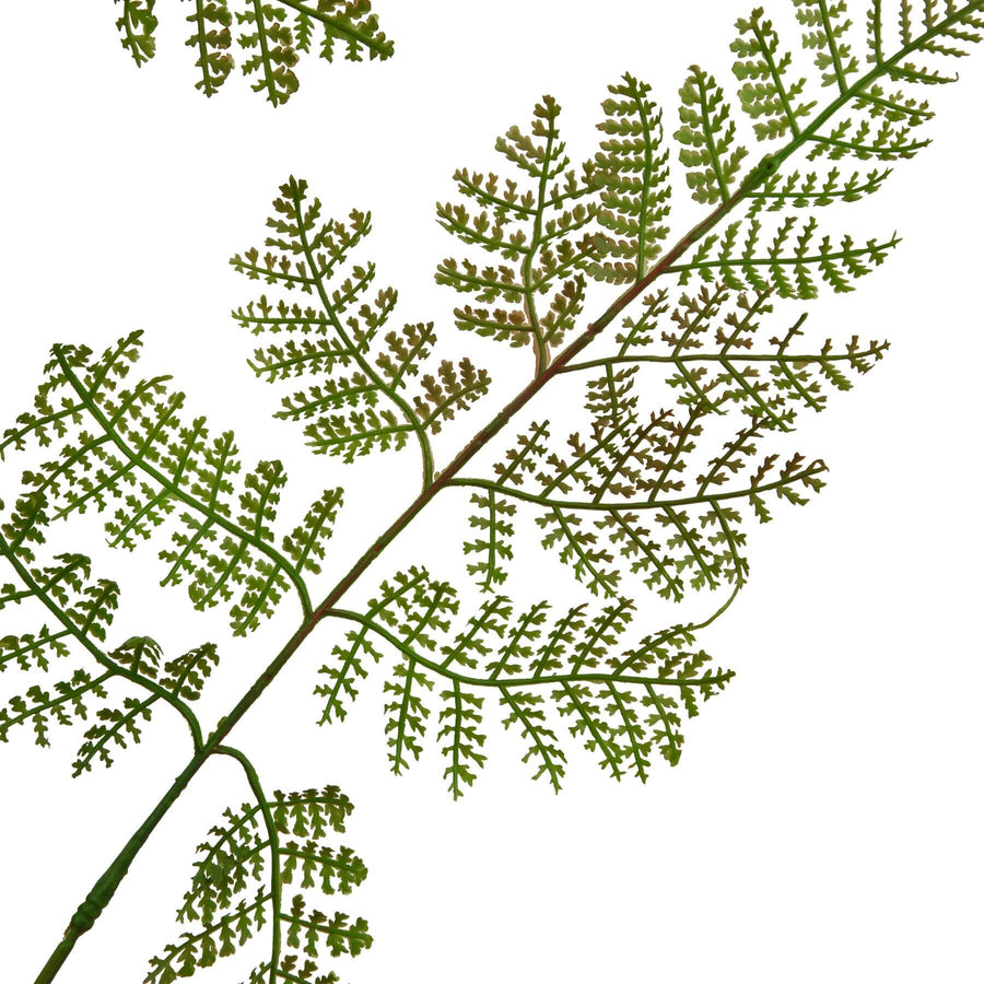Lifelike large bracken fern spray with rich green tones, realistic plastic fronds for zero-maintenance home decor by Sostter at brixbailey.com