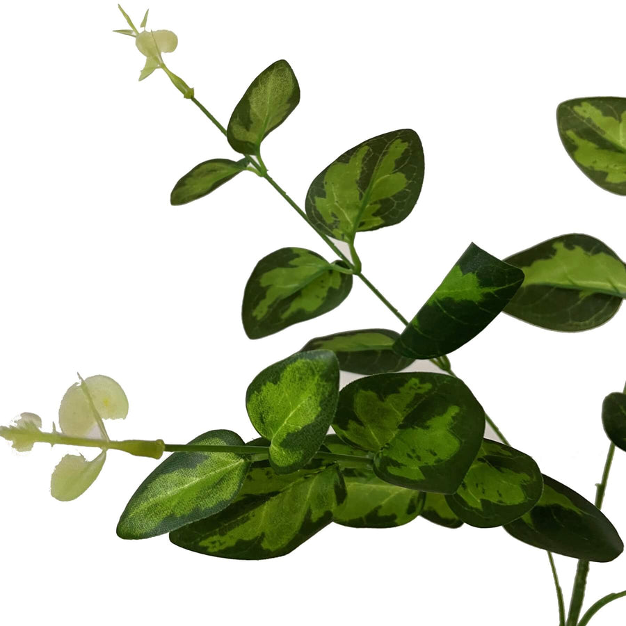 Lifelike variegated leaf spray in natural green, 62cm high, for elegant artificial floral arrangements by Sostter at brixbailey.com