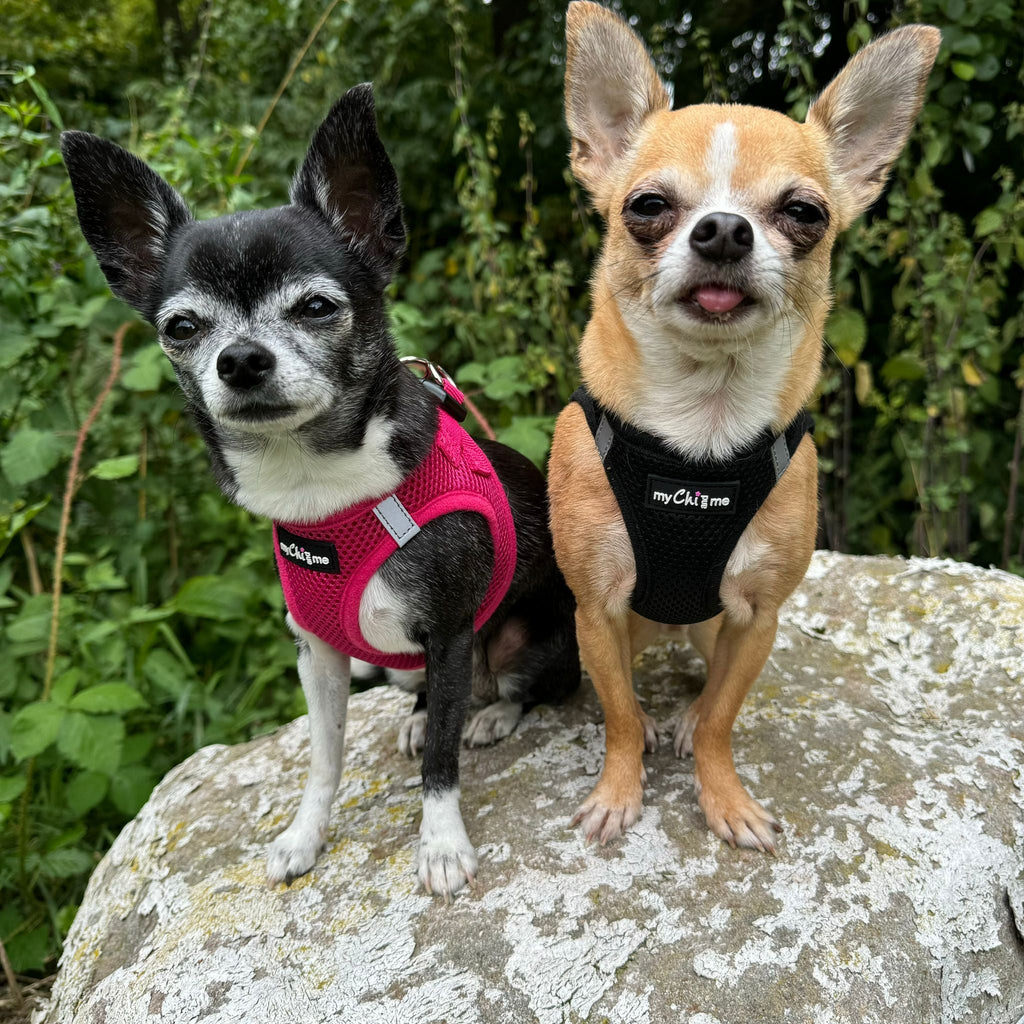 Tiny Trails Step In Air Mesh Puppy and Small Dog Harness in Hot Pink