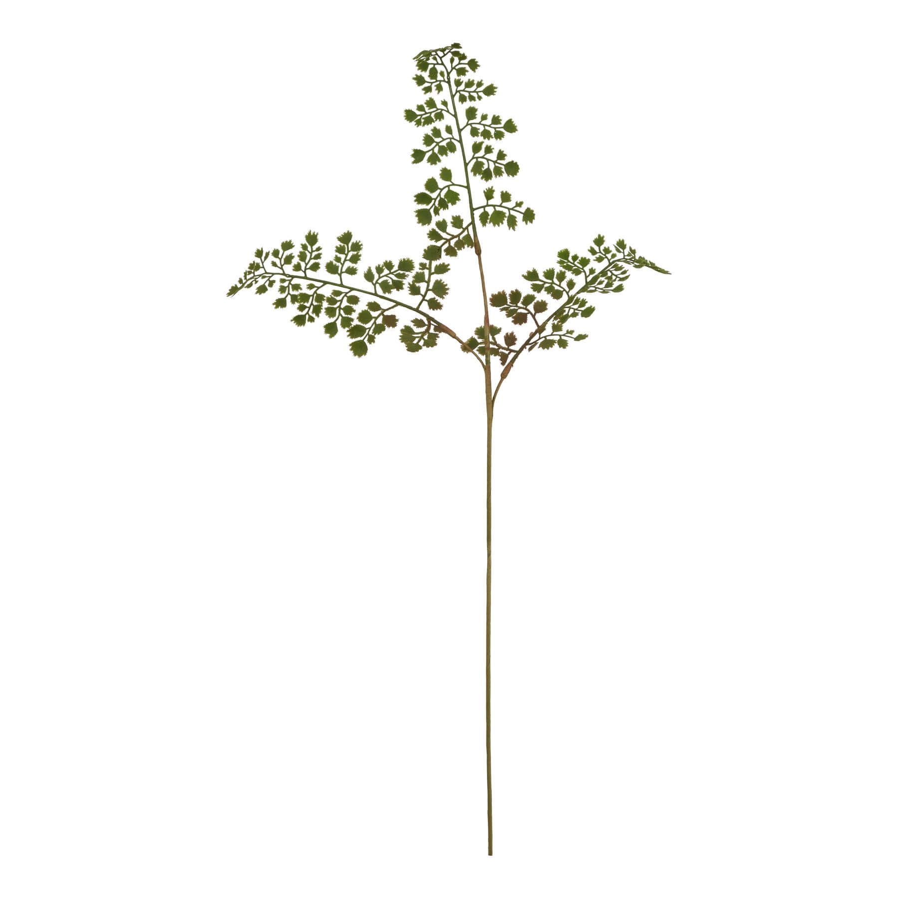 Lifelike maidenhair fern stem in natural green, 64cm faux botanical decor for home or office by Sostter at brixbailey.com