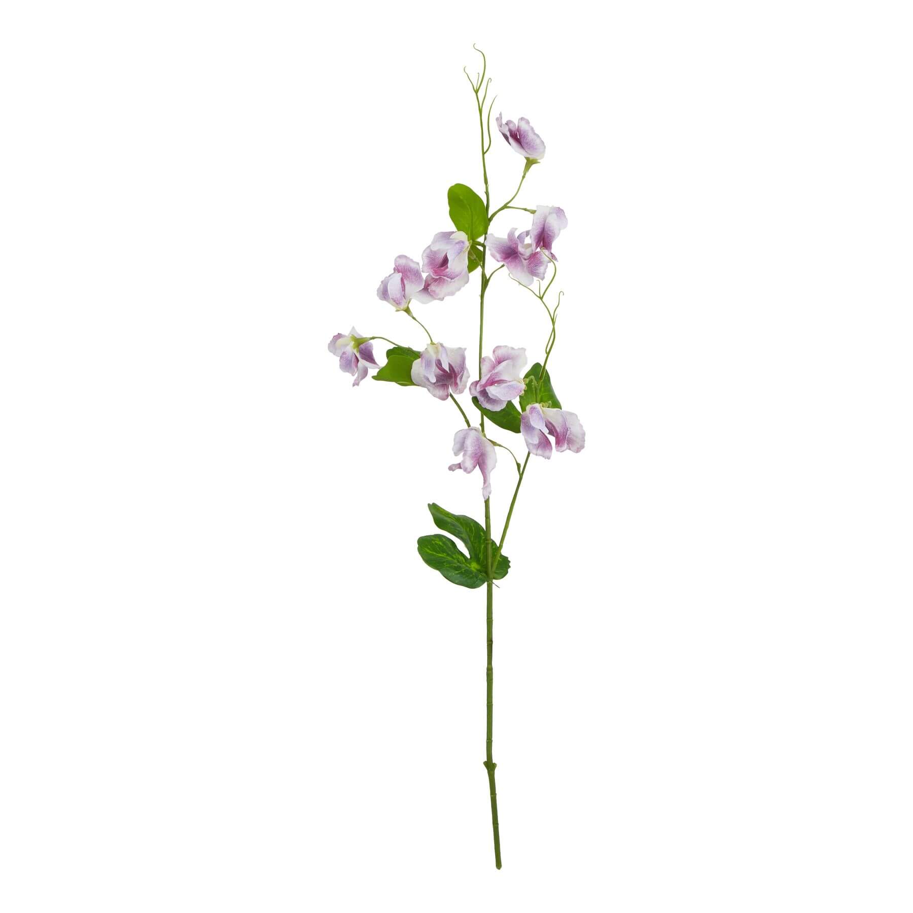 Lifelike purple artificial sweetpea stem, 24 inches, with natural shading and realistic plastic petals for floral arrangements by RoomLondon at brixbailey.com