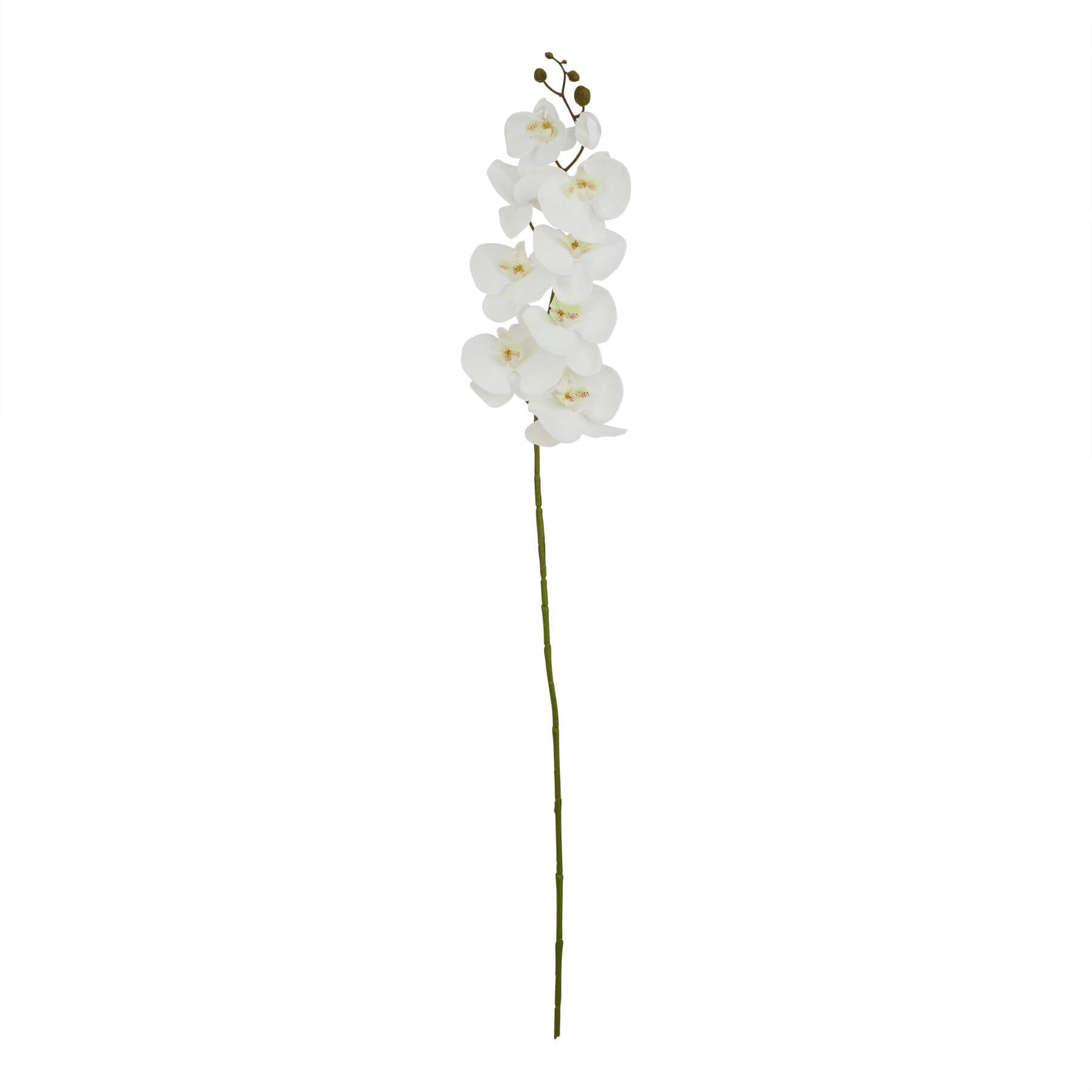 Lifelike white artificial orchid stem, 103cm tall, with realistic petals and natural texture for home decor by Sostter at brixbailey.com