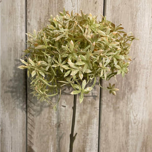Rich coffee brown faux allium stems, 63cm tall with realistic spherical blooms for home decor  by sostter at brixbailey.com