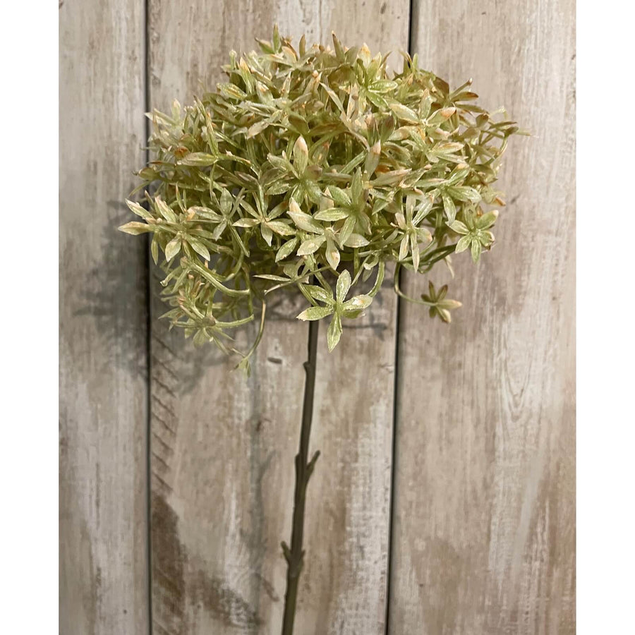 Rich coffee brown faux allium stems, 63cm tall with realistic spherical blooms for home decor  by Sostter at brixbailey.com