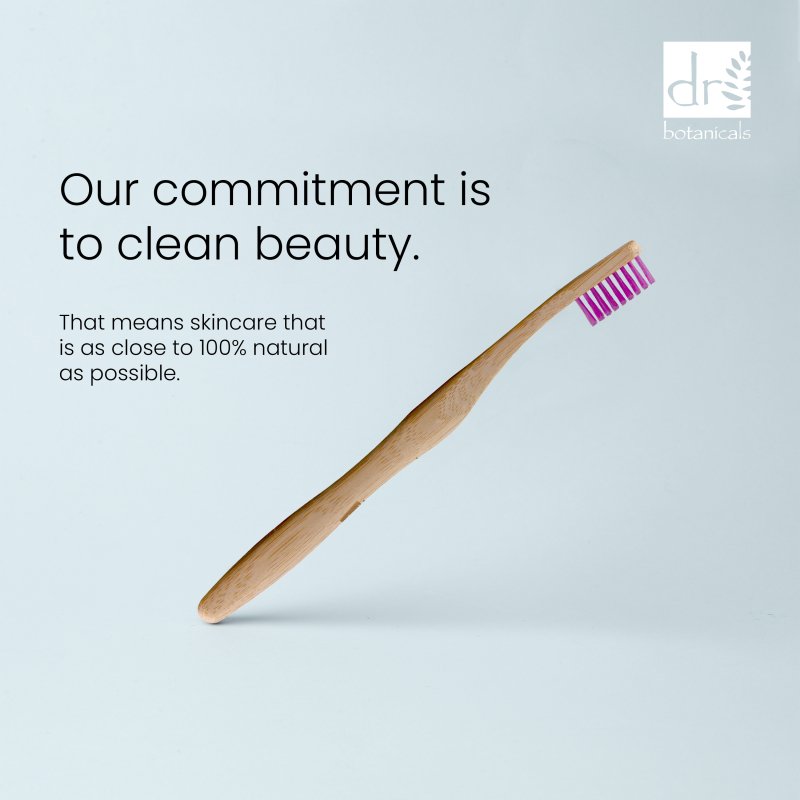 Purple Bamboo Toothbrush