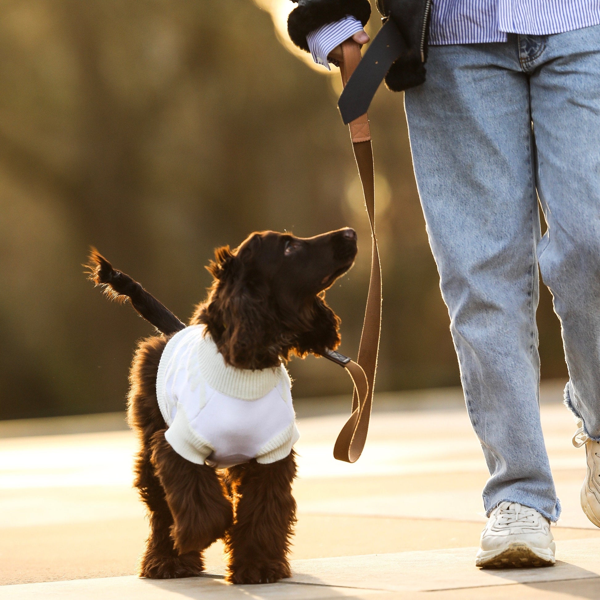 Textured Zig Zag Jumper in Dark Green and White