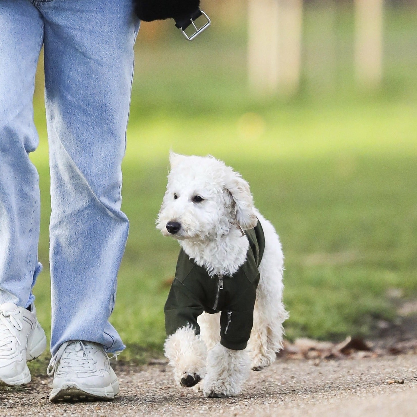 Zipped Bomber Jacket in Green