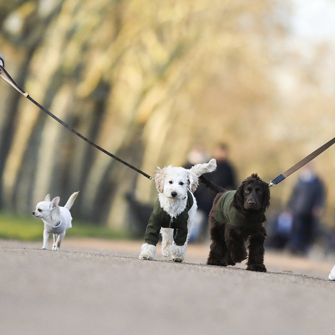 Zipped Bomber Jacket in Green