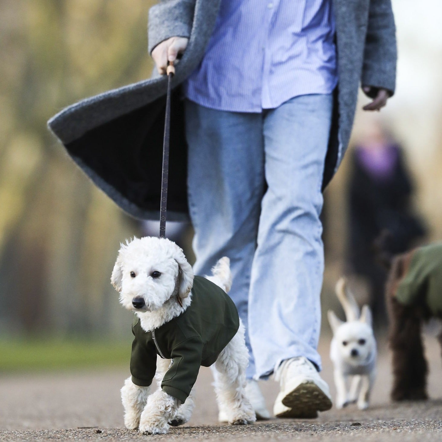 Zipped Bomber Jacket in Green