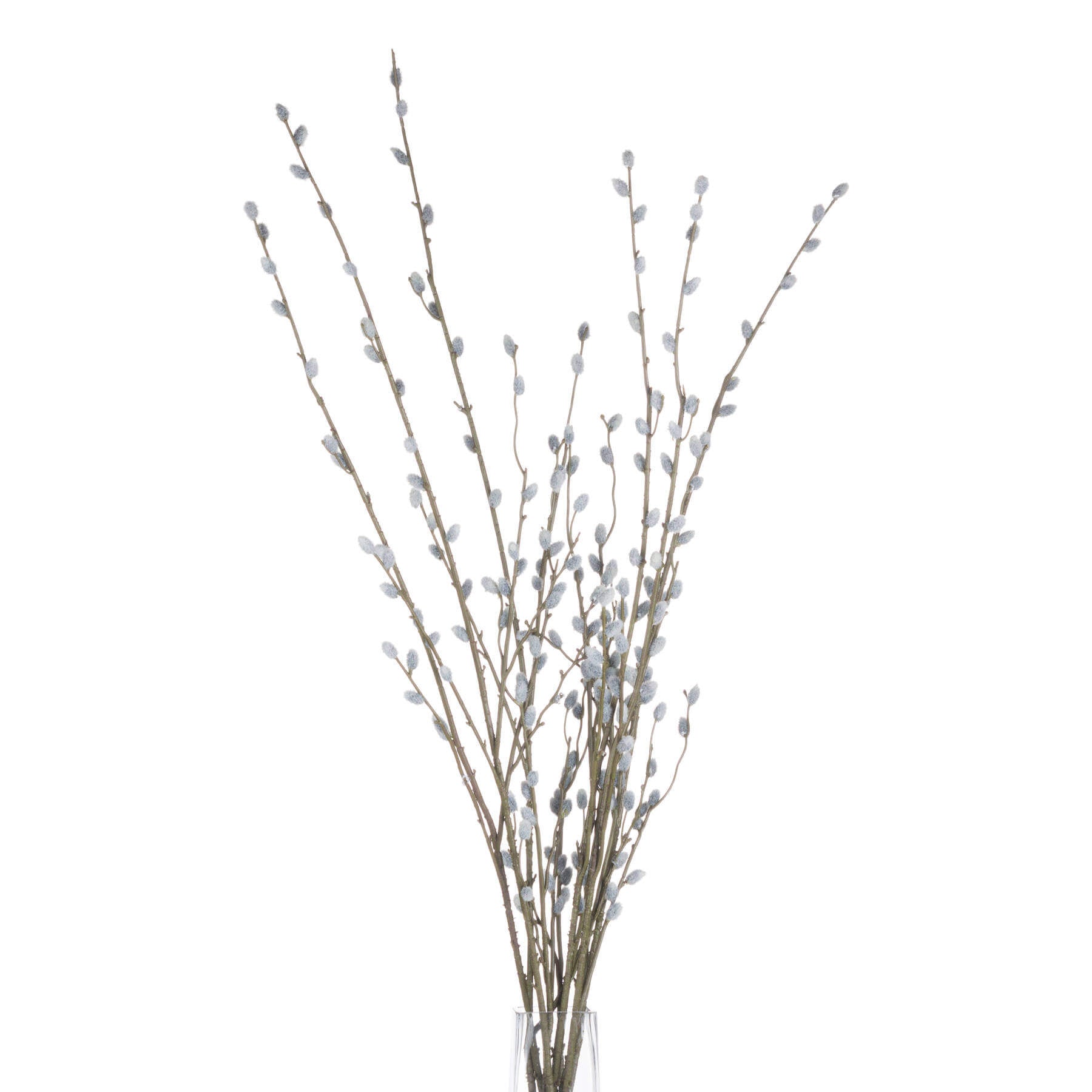 Lifelike grey pussy willow branch, 40.5 tall with realistic catkins, perfect for modern or farmhouse decor. by Sostter at brixbailey.com
