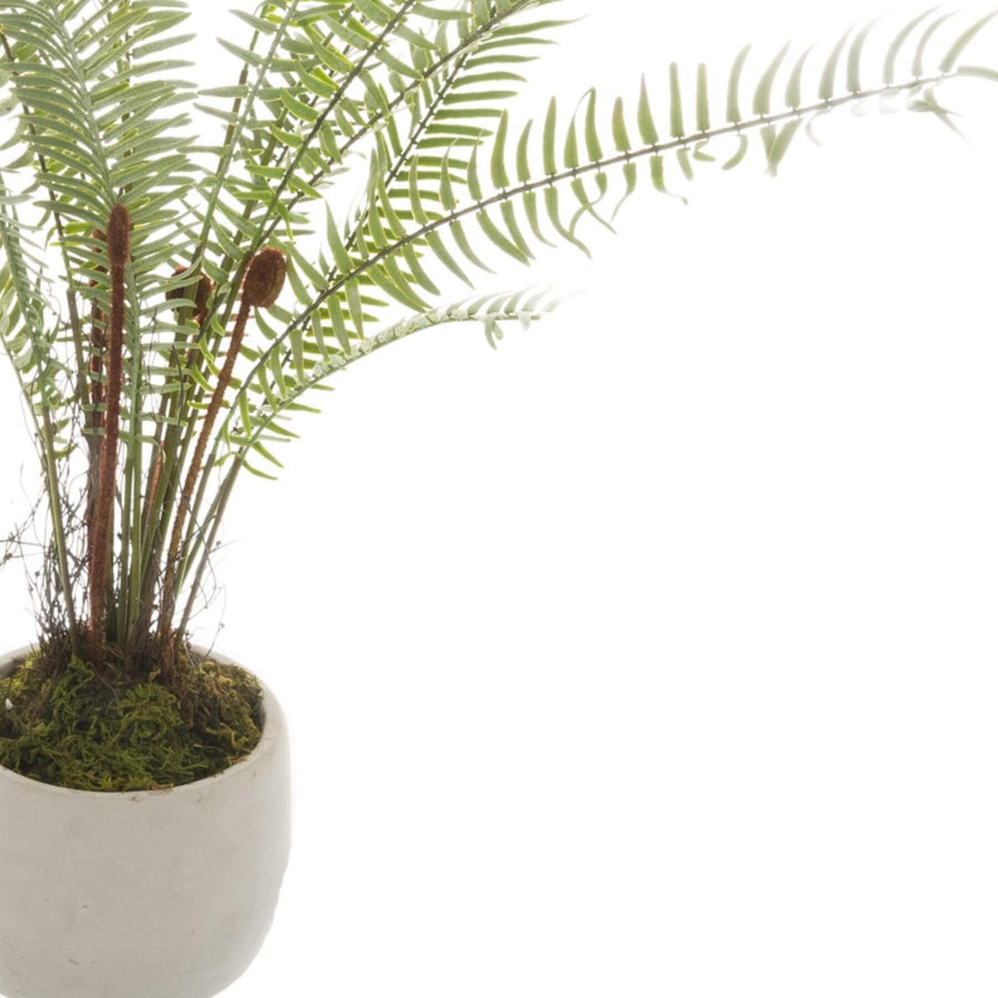 Lifelike artificial fern in white stone pot, realistic green foliage with cascading fronds for modern home decor by Sostter at brixbailey.com