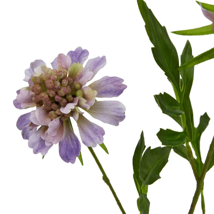Lifelike purple scabious artificial flower stem with delicate petals, rich purple hues, and realistic texture, 65 cm tall. by Sostter at brixbailey.com