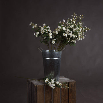 White wild meadow rose floral spray with lifelike plastic petals, perfect for minimalist home decor. by Sostter at brixbailey.com