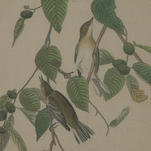 Handcrafted warbler artwork on linen with beaded frame, earthy browns and neutrals, 50x40cm, British wildlife collection by sostter at brixbailey.com