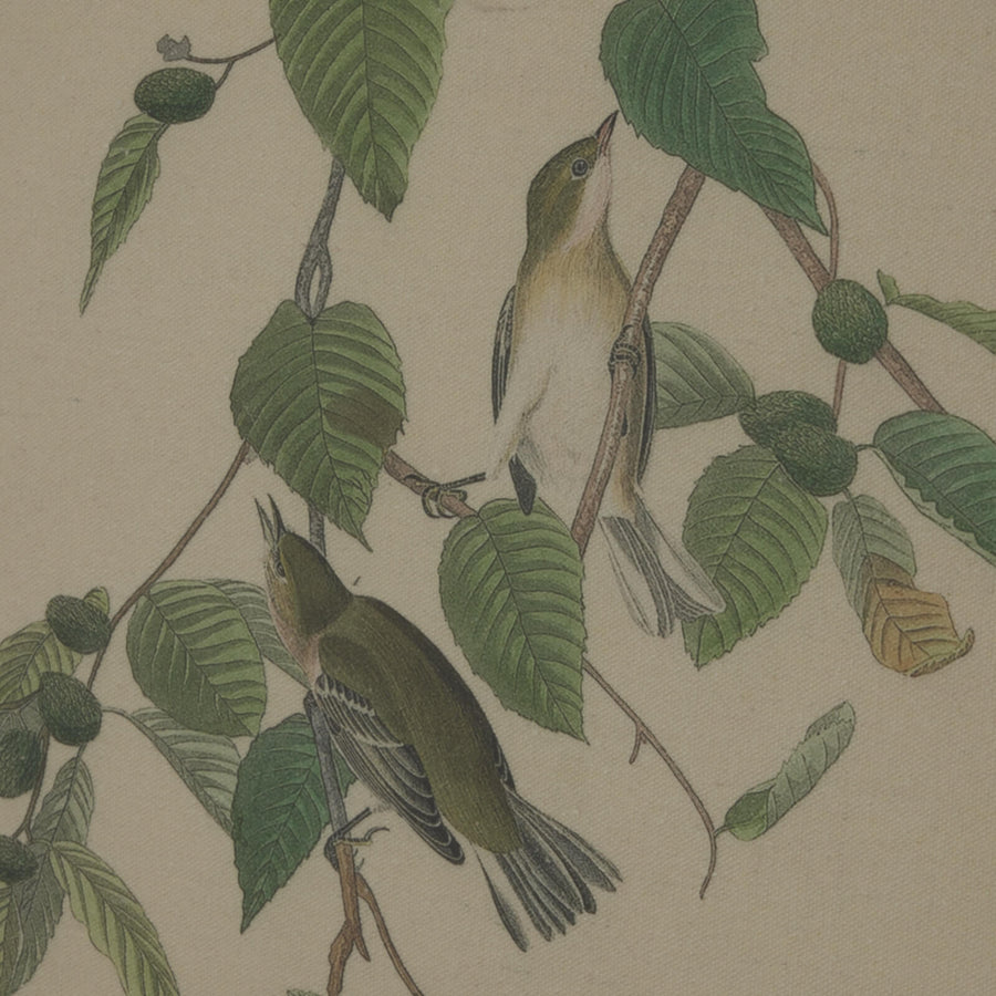 Handcrafted warbler artwork on linen with beaded frame, earthy browns and neutrals, 50x40cm, British wildlife collection by Sostter at brixbailey.com