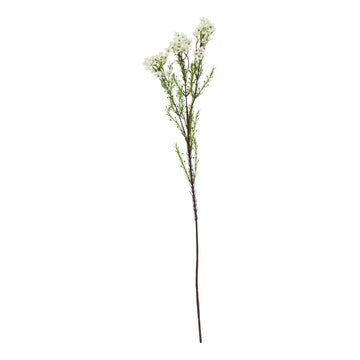 Lifelike white waxflower artificial stem with green leaves, 80cm tall, for elegant home decor. by Sostter at brixbailey.com