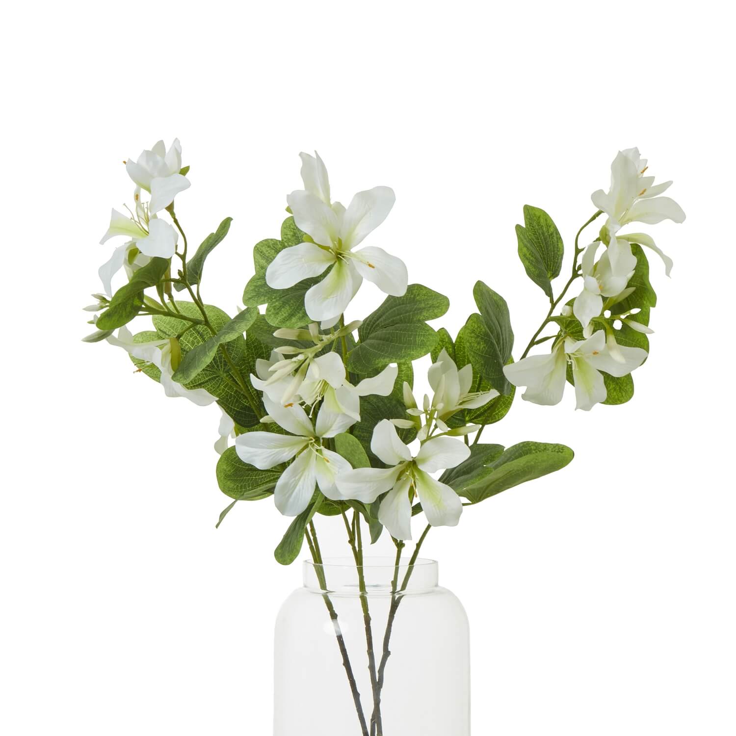 Cream Bauhinia orchid spray with lifelike tropical blooms and foliage, 34-inch artificial floral arrangement for home decor. by Sostter at brixbailey.com