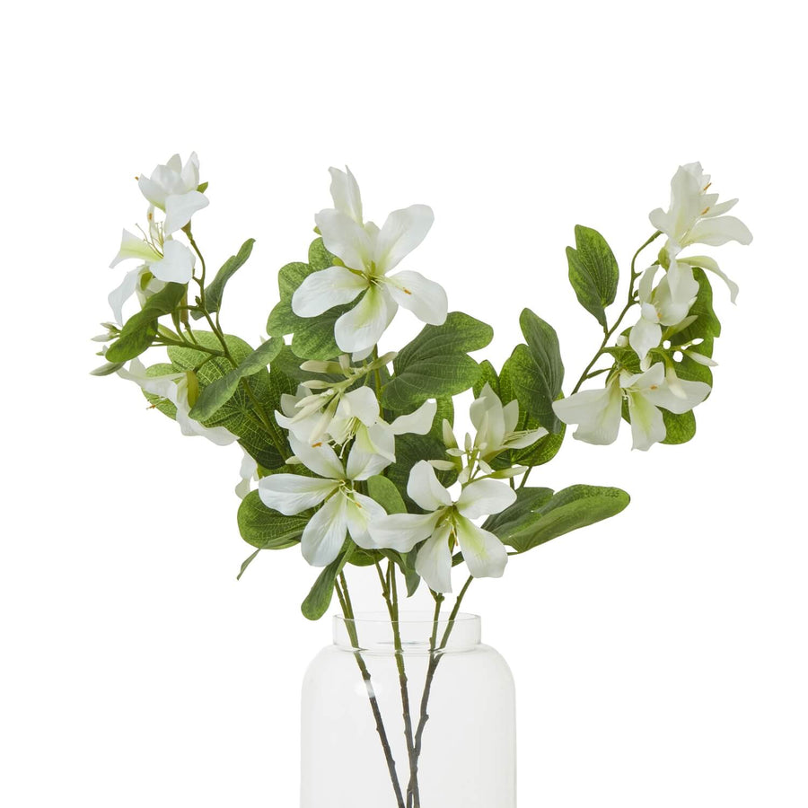 Cream Bauhinia orchid spray with lifelike tropical blooms and foliage, 34-inch artificial floral arrangement for home decor. by Sostter at brixbailey.com