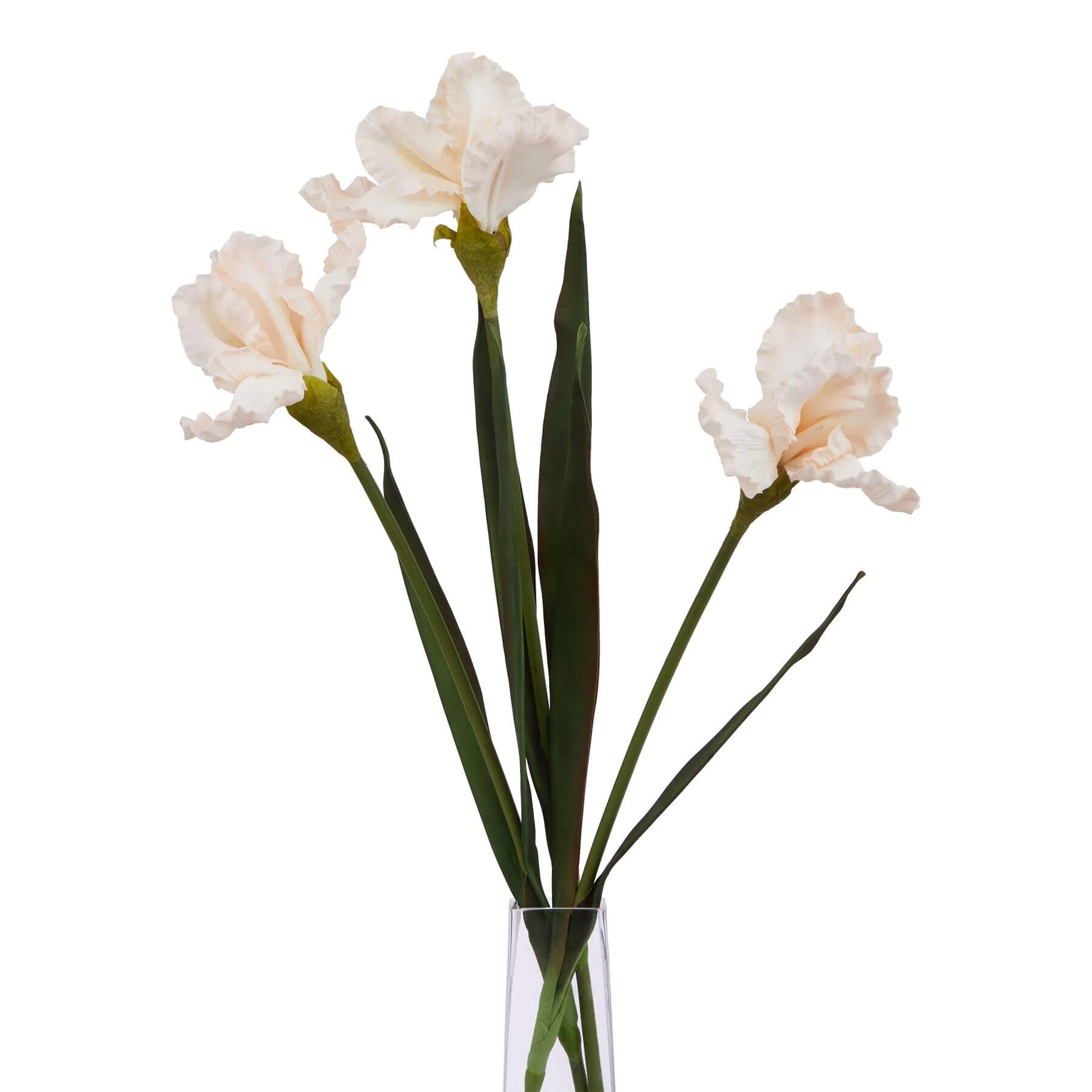 Artificial pale apricot iris with fringed petals, lifelike gradient, and textured plastic stems for home decor  by Sostter at brixbailey.com