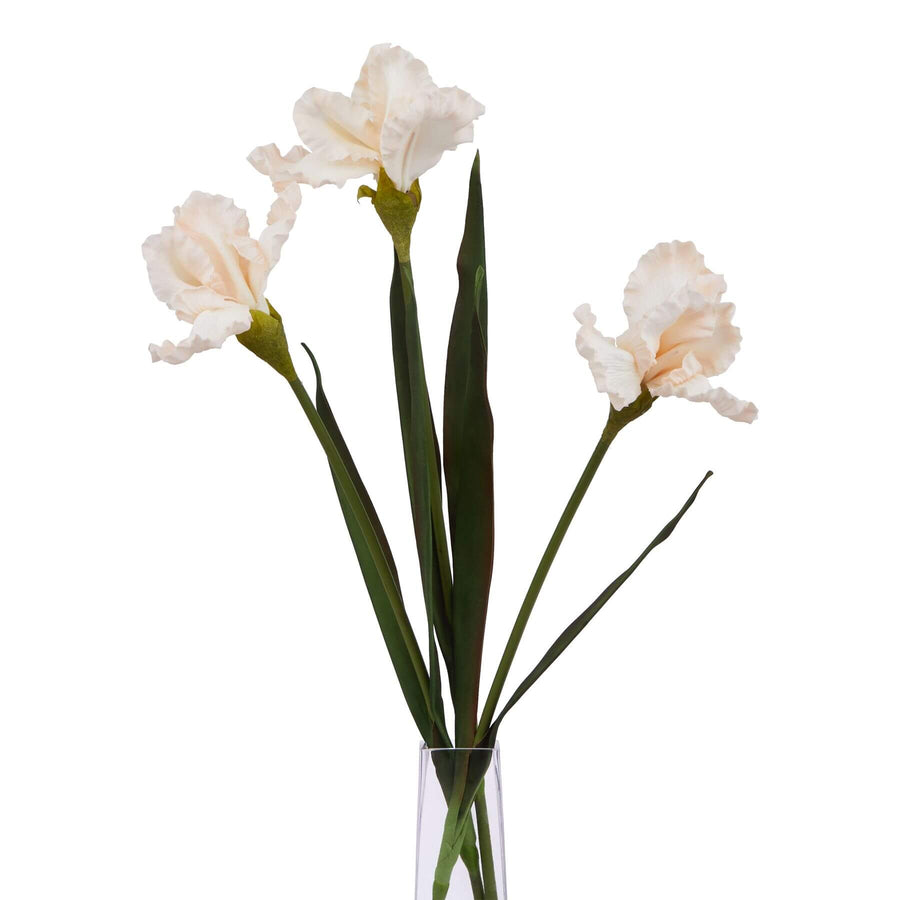Artificial pale apricot iris with fringed petals, lifelike gradient, and textured plastic stems for home decor  by Sostter at brixbailey.com