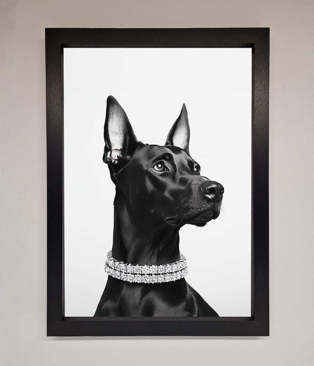 Black Doberman Diamond Neckless Framed Poster