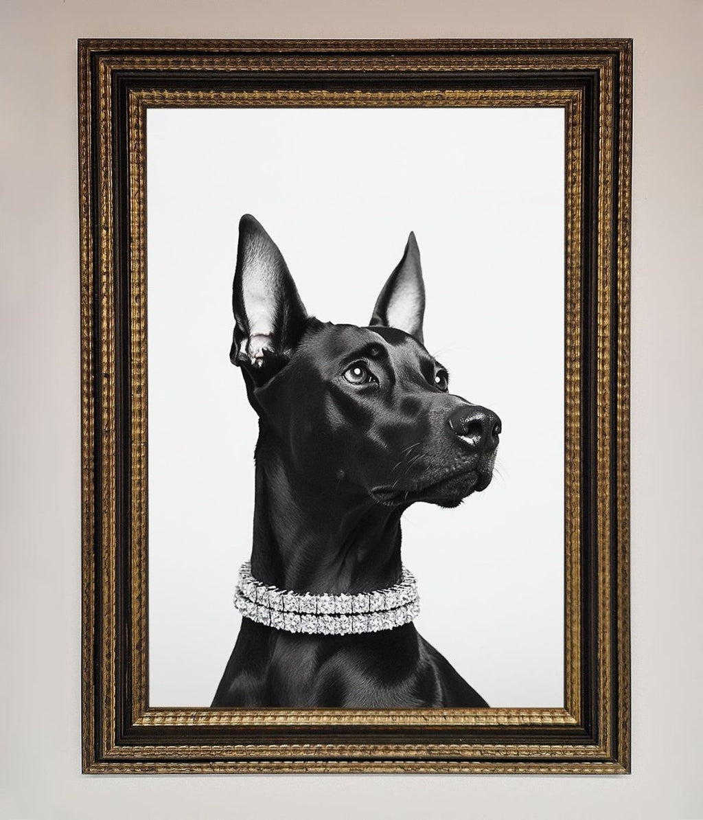 Black Doberman Diamond Neckless Framed Poster