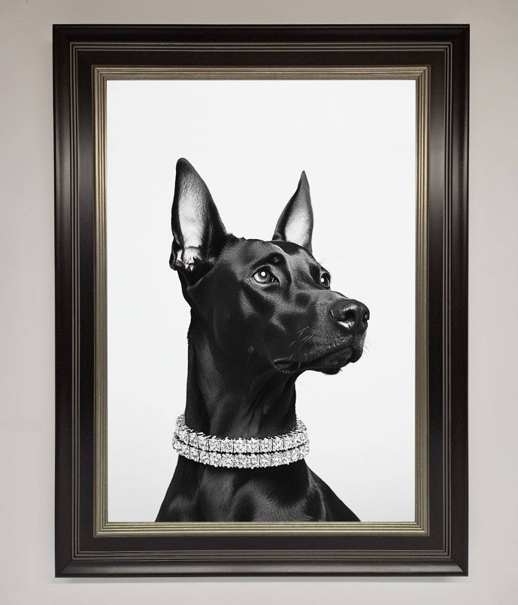 Black Doberman Diamond Neckless Framed Poster