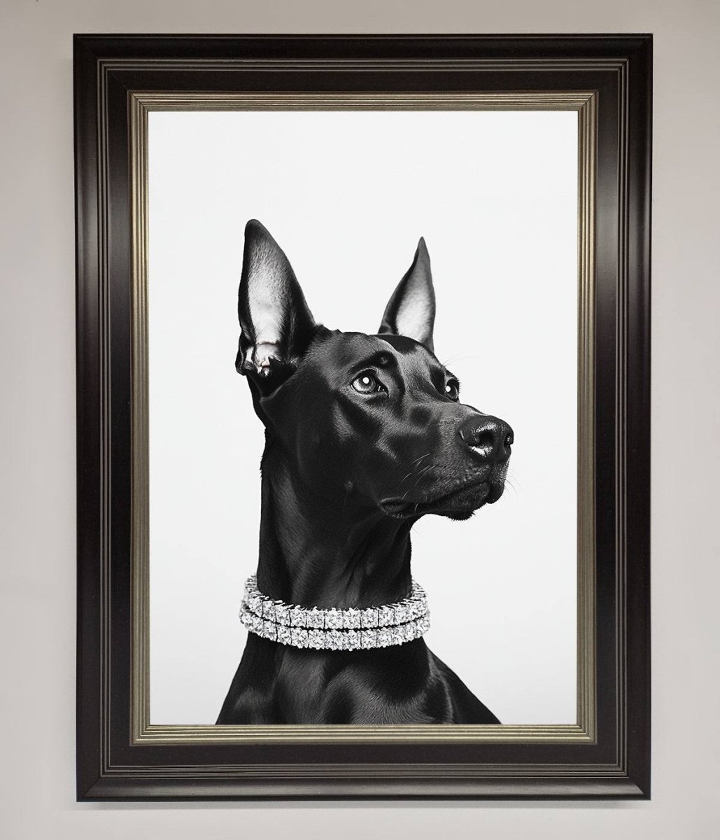 Black Doberman Diamond Neckless Framed Poster